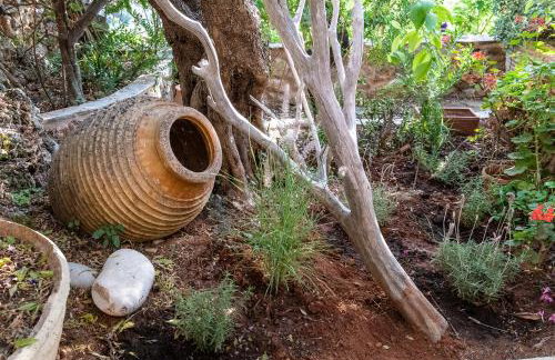 PositiveSpace Olive Tree - Foto 27