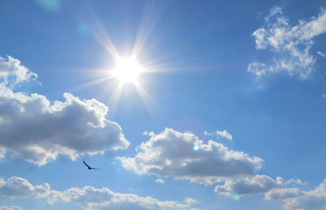 Kissimmee Area Pool Homes by Sunny OVH - Foto 22