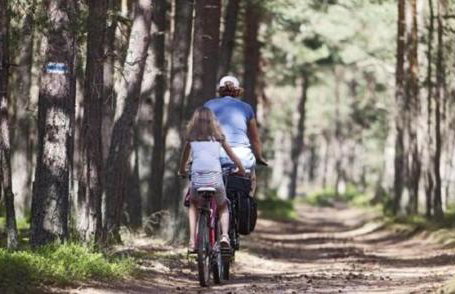 Apartament Pod Papugami w Porto Łeba - Foto 17