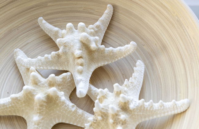 Farmhouse in Groet Near sea and Forest - Foto 31