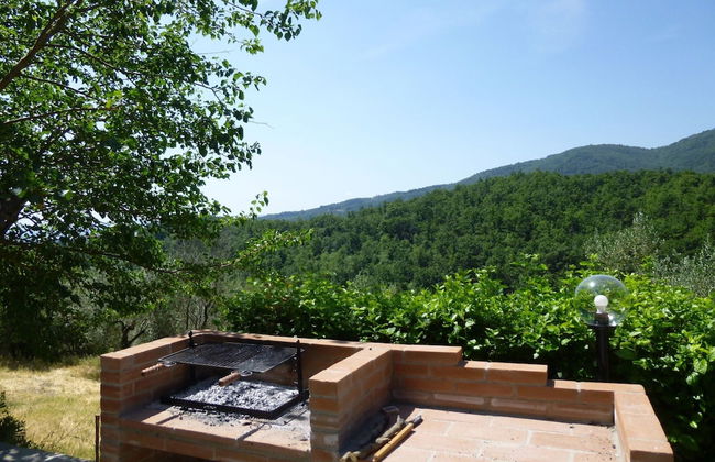 Lovely Estate not far From Florence With Olives Trees - Foto 50