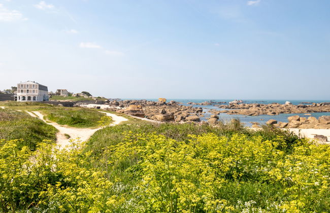 Les Chardons Bleus 2 - Foto 30