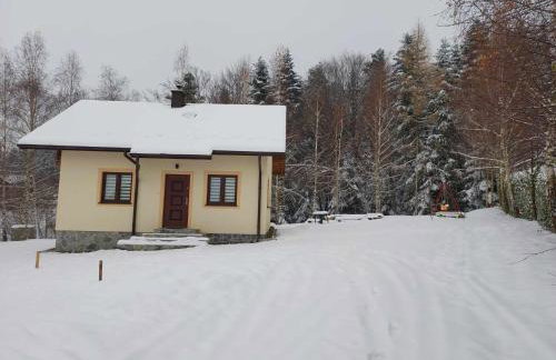 DOMEK ANNY - Foto 17