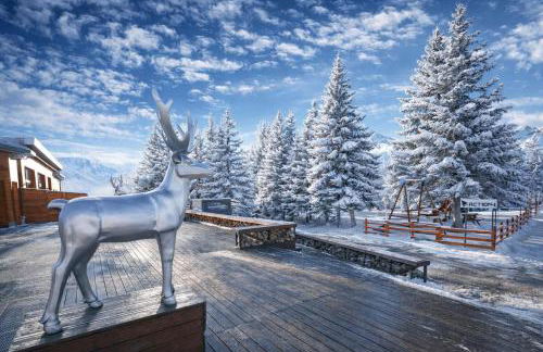 Tana Delle Volpi - Happy Rentals - Photo 23