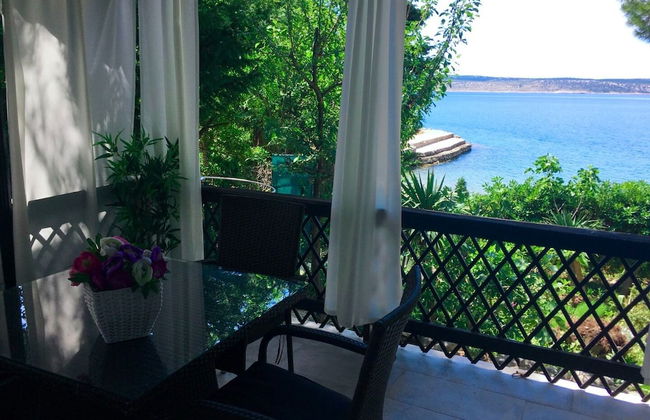 Helena - Beachfront - H - Photo 1