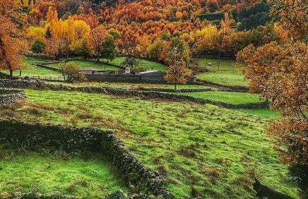 Casas Rurales Acebuche en Valle del Ambroz - Foto 9