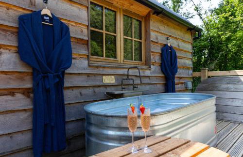 Fern Luxury Cabin Great Couples Getaway North Devon - Foto 6