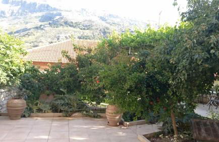 Tulip House - Foto 48