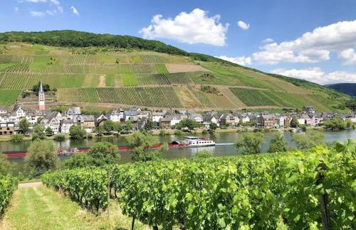 Ferienhaus Schwanennest - Foto 7