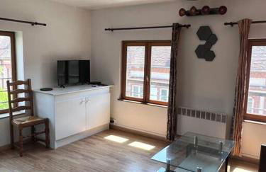 Grand Appartement lumineux 2ch. Ville historique. - Foto 4