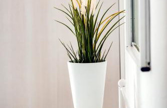 Filia Rooms & Apartments - Foto 21