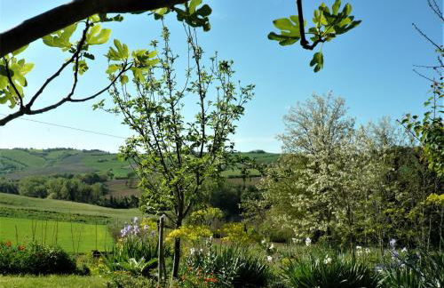 Strohballenhaus Valle delle Rose - Photo 28