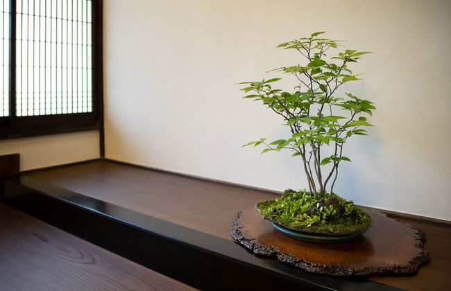 UCHIKO-Inn ORI - Foto 16