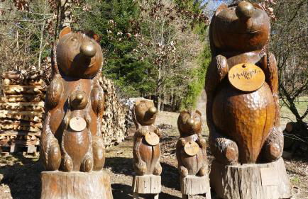 guest apartment niederalfingen - Foto 55