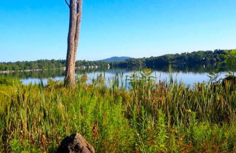 Peaceful Private Cabin on Crystal Lake near Elk Mountain, Pennsylvania - Foto 17