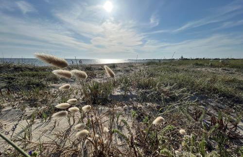 Nespolilla - Foto 23