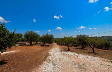 Villa Colle dei Trulli Monopoli - Foto 24