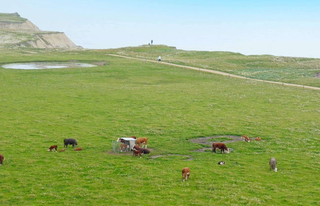 5 Person Holiday Home in Lemvig - Foto 27