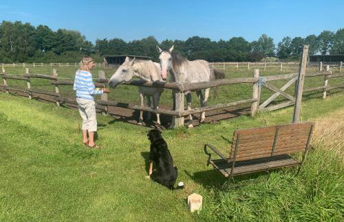 Teichblick - Photo 25