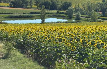 Agriturismo Fattoria Del Colle By Enrico - Foto 30