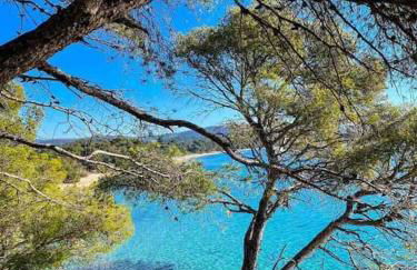 T3 NEUF centre village COLLOBRIERES - Foto 13