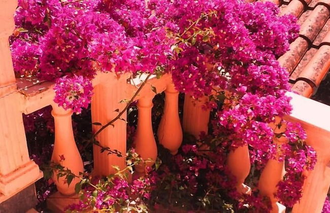 Makris Apartments - Foto 11