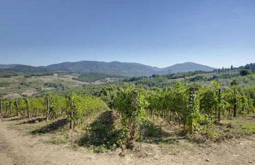 Agriturismo La Presura - Foto 84