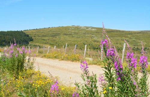 Gite La Barthe Basse - Foto 41
