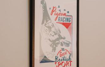 The Pedlars Flat - Foto 14