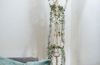 Kleine Koje - Foto 21