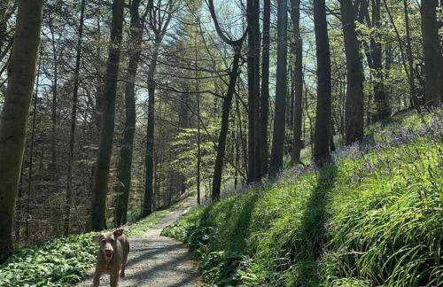 1800 Period Grade 2 Listed Cottage Addingham - Photo 14