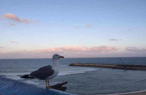 Ericeira Vibes - Foto 28