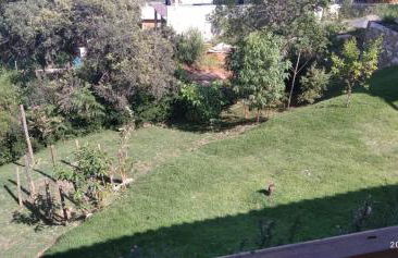 Casa Tapera Nova - Photo 37