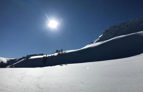 L'Etesy, pied des pistes et spa - Photo 40