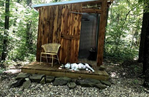 Vintage Caravan Rental for Exploring the Great Outdoors in Cassville, Missouri - Foto 10