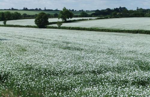 Well Cottage - Compact & Cosy! - Foto 8