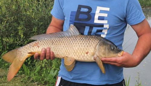 A place of zen - Photo 3