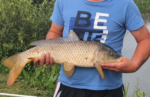 A place of zen - Foto 3