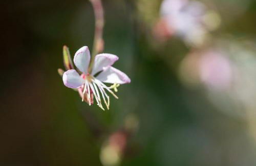 La Casita de Tafira - Foto 34
