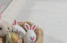 Hospeda Aí - Foto 8