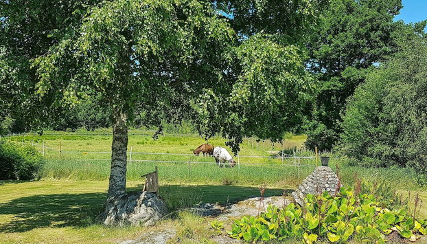 6 Person Holiday Home in Fjallbacka - Foto 4, Diversos