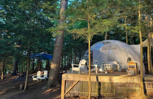 EcoIsland Events, Weddings, Families, Retreats - Foto 46