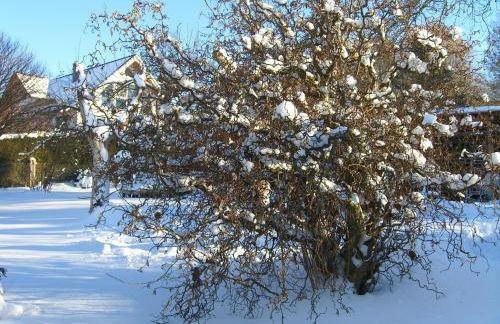 Haus Maria - Foto 21