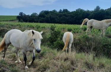 Studio mi casa es su casa - Photo 25