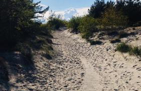 Chata Zaciszne Zastań - Photo 33