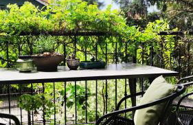 Alvar Apartament - Photo 19