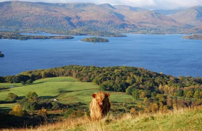 Fantastic 2 Bedroom, Spacious and Great Location! - Photo 14