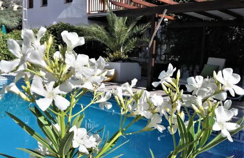 Cortijo Berruguilla - Foto 19