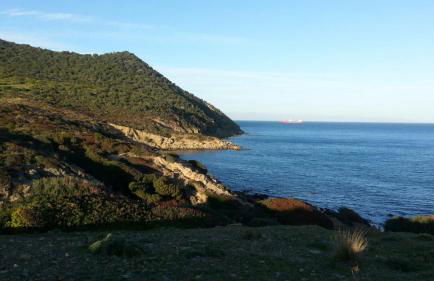 Tiny House - Foto 26