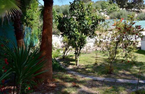 Casa Margarita - Photo 28